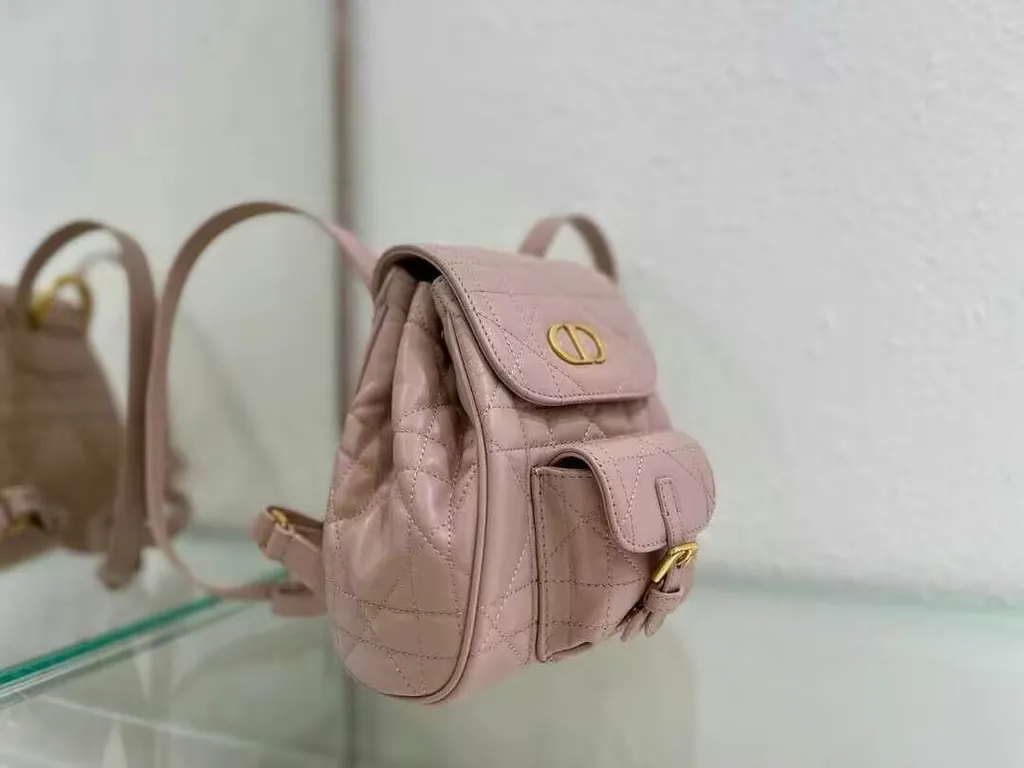 Dior Bag 